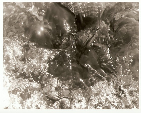 Photography: Still Water 