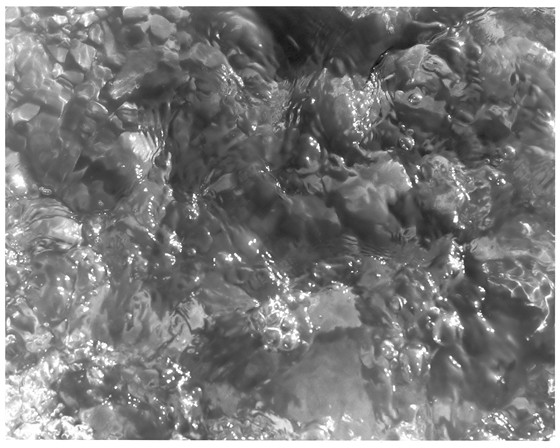 Photography: Still Water 