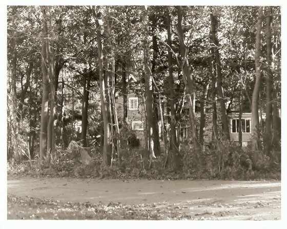 Photography: Around the town