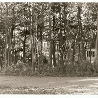 Портфолио Yeti Mallavi